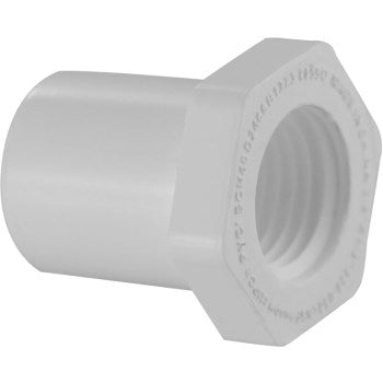 Lesso America Inc 438-247B 2